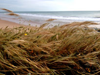 Viento de Levante