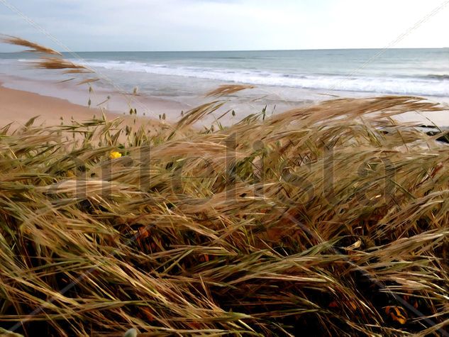 Viento de Levante Naturaleza Color (Digital)