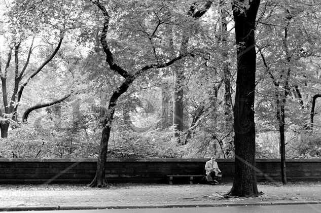 Lectura en la Gran Manzana Viajes Blanco y Negro (Digital)