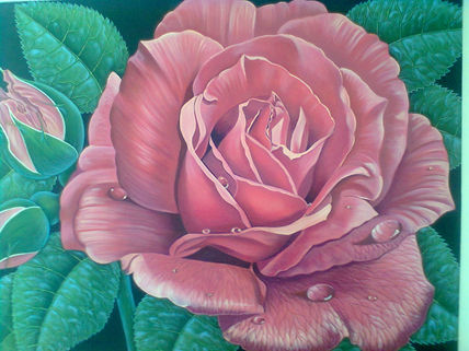 ROSA Rosa