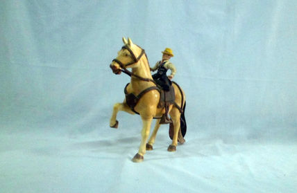 Caballo de paso