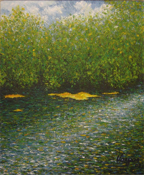 Río en movimiento