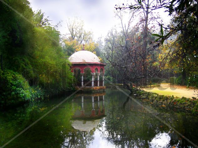 Parque de María Luisa. Sevilla. Otoño Naturaleza Color (Digital)