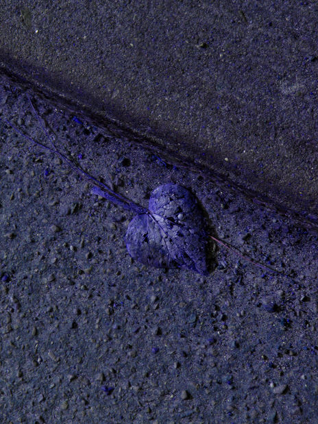 Petit coeur