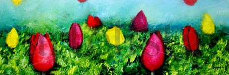 Tulipanes