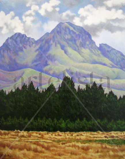 Volcán Rumiñahui II Oil Canvas Landscaping