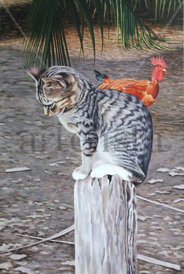 El Gato de Sofía Oil Canvas Animals