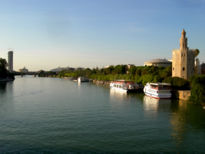 Torres de Sevilla II