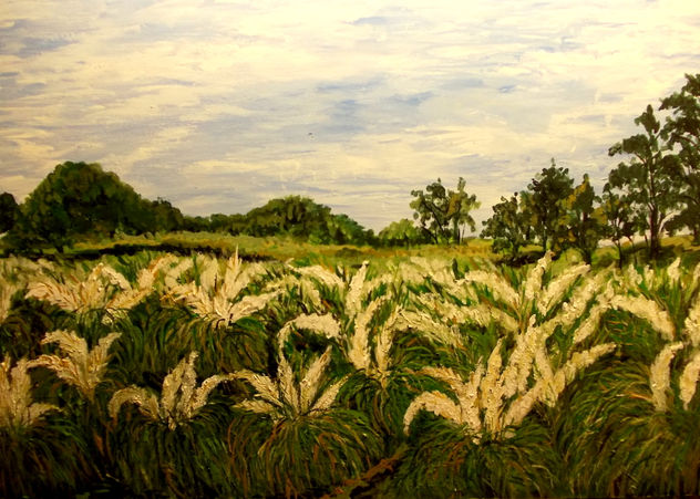 MAR DE CORTADERAS