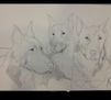 Bergers de Beauce by Nathalie Guichard