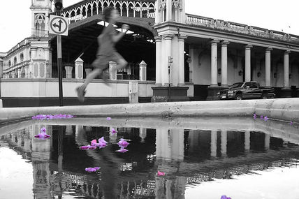Reflejos de la...
