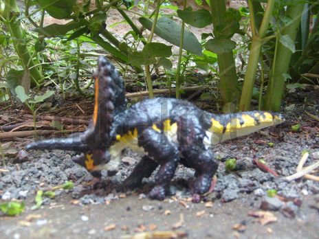 Pentaceratops