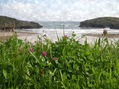 Rincón de Llanes III. Asturias