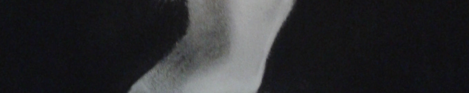 Imagen de portada