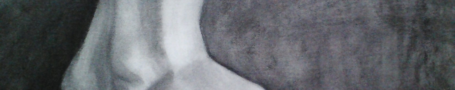 Imagen de portada