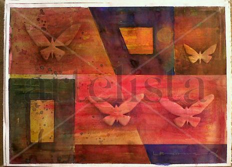 Lepidopteros