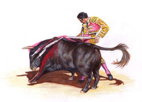 Toros1