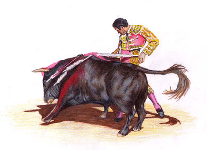 Toros1