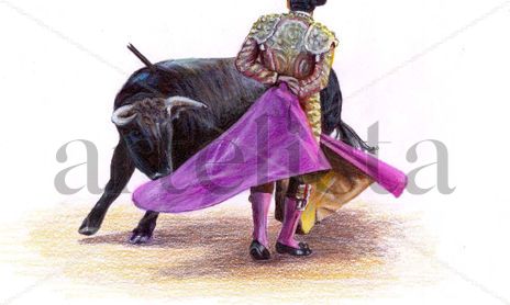 toros