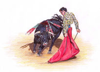 Toros3