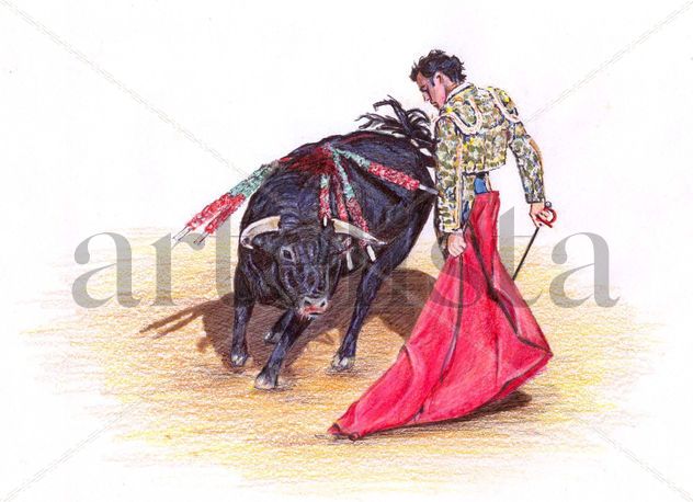Toros3