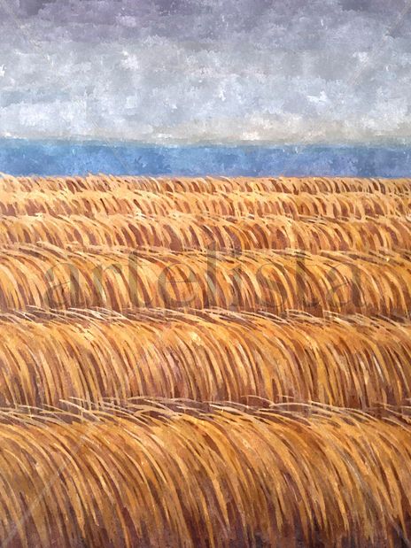 Viento de poniente