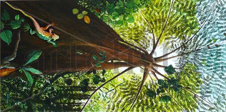Naturaleza