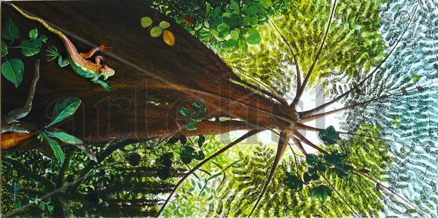 Naturaleza