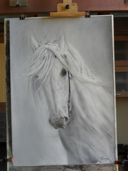 Retrato de un caballo blanco Pastel Card Animals