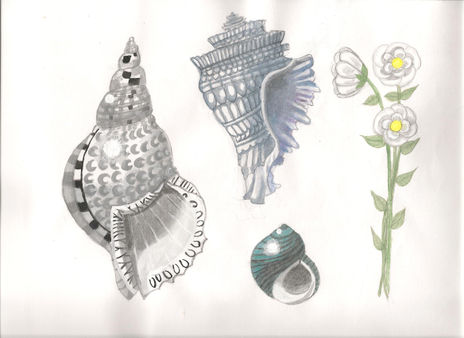 Flores para Marina