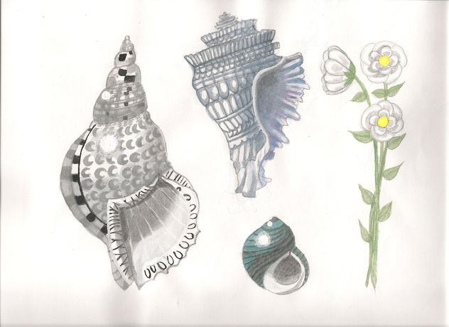 Flores para Marina