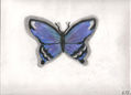 Mariposa azul