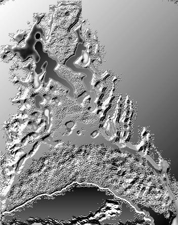Lizard on the moon