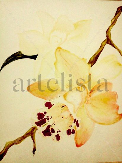 Orquídeas Acrylic Others Floral Painting