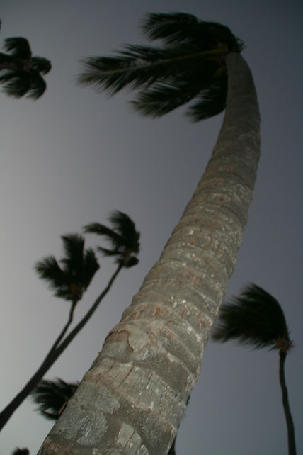 Del Este