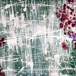 POLAR thumbnail 2