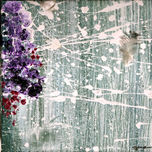 POLAR thumbnail 1