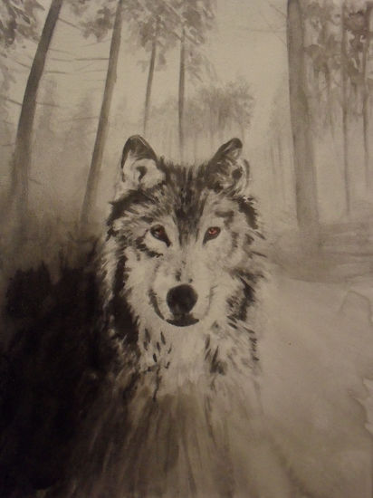 Lobo solitario Media Mixta Tabla Animales