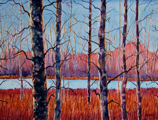 PS13/3 (árboles en invierno)