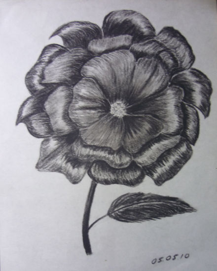 ROSA Charcoal