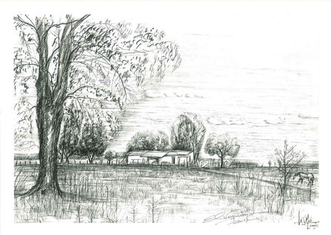 Rancho de Hector