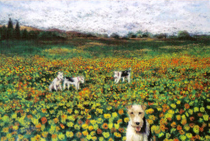 Jugando con flores