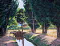 EL CANALILLO (CERCA DE SIMANCAS)
