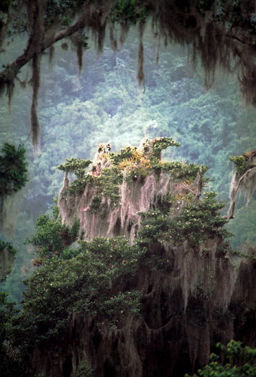 Montañas dominicanas, Guajacas Naturaleza Color (Química)