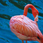 Nature thumbnail 2