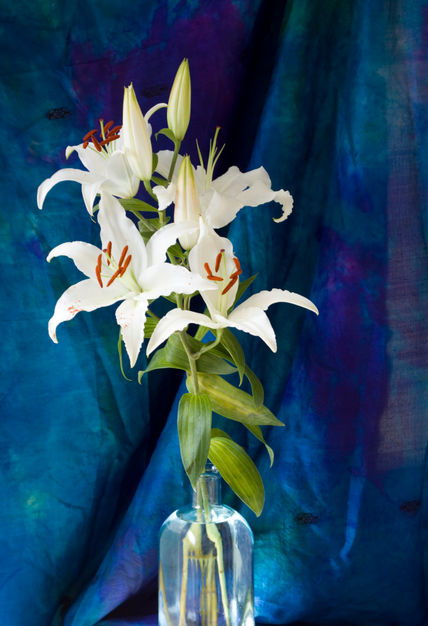A Beautiful Bouquet...