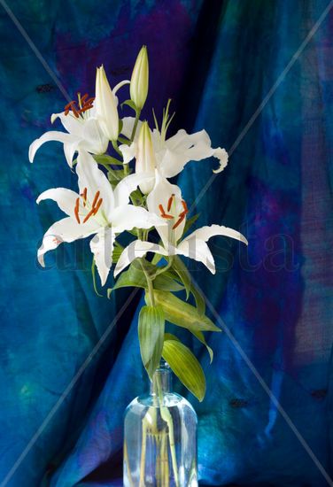 A Beautiful Bouquet of White tiger lilies Nature Color (Digital)