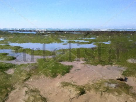 Marea baja en los...