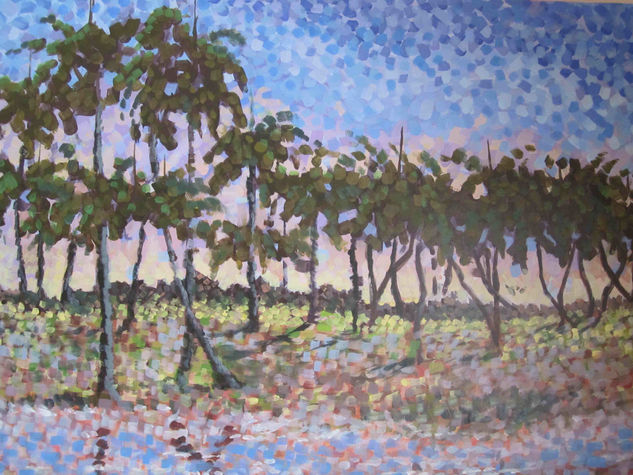 CAMINO A RIO SAN JUAN Acrylic Canvas Landscaping