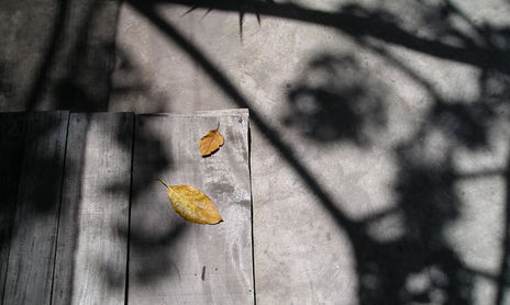 naturaleza